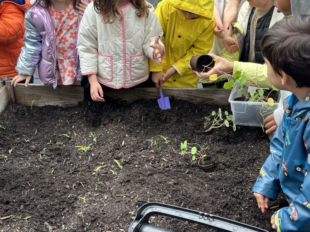Outdoor Play and Exploration