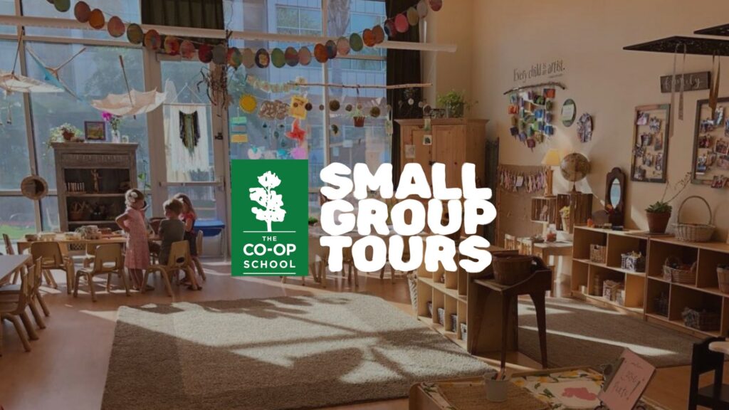 Small Group Tours